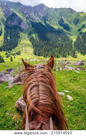 View Over Valley From The Horse Back, Kyrgyzstan