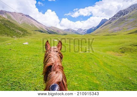 View Over Valley From The Horse Back, Kyrgyzstan