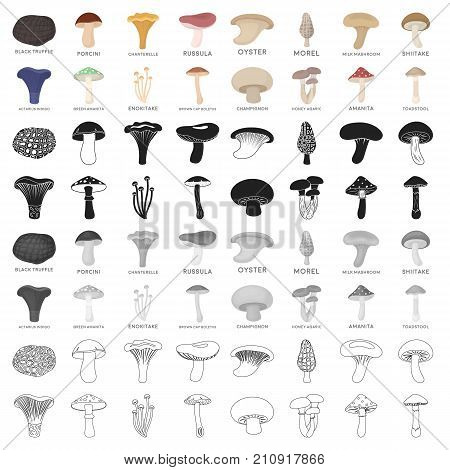 Mushroom set icons in cartoon style. Big collection of mushroom vector symbol stock