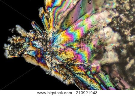 microscopic Loperamide crystals illuminated with polarized light