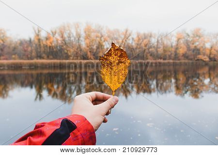 autumn leaf in the fingers in lake