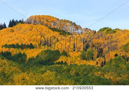 Kebler Pass - Autumn colors create a unique scenic beauty in the Rocky Mountains of Colorado.