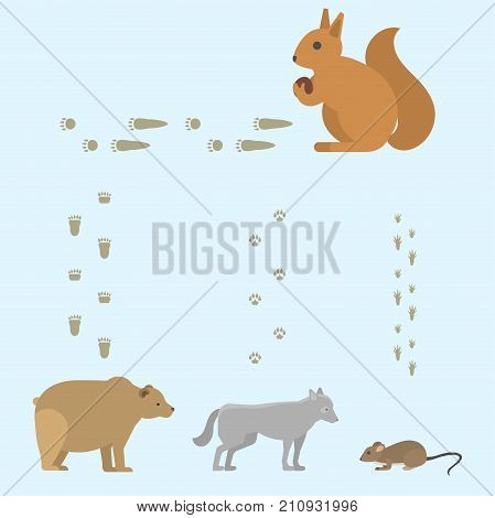 Animal footprints include mammals and birds. Foot print trace wildlife track steps. Wild nature silhouette vector walk pattern cartoon sign.