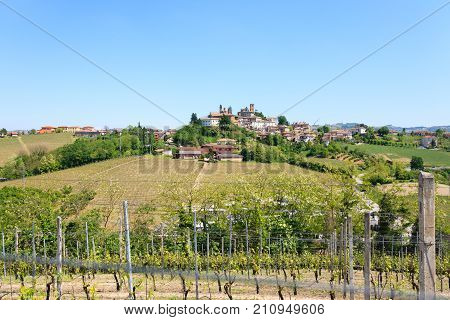 Beautiful Italian landscape. Vineyards from Langhe regionItaly agriculture. Unesco world heritage site