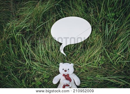Two white plush toy teddy bear on the green grass and dialog cloud box .