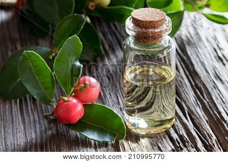 A Bottle Of Wintergreen Essential Oil On A A Wooden Background