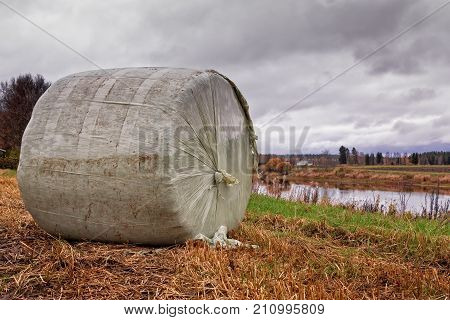 Roll Bale By The River