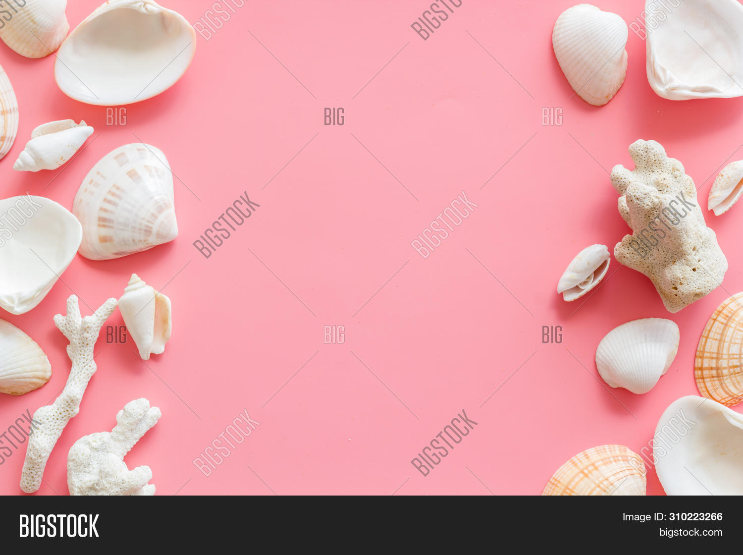 Shells Frame Seaside Image & Photo (Free Trial) | Bigstock
