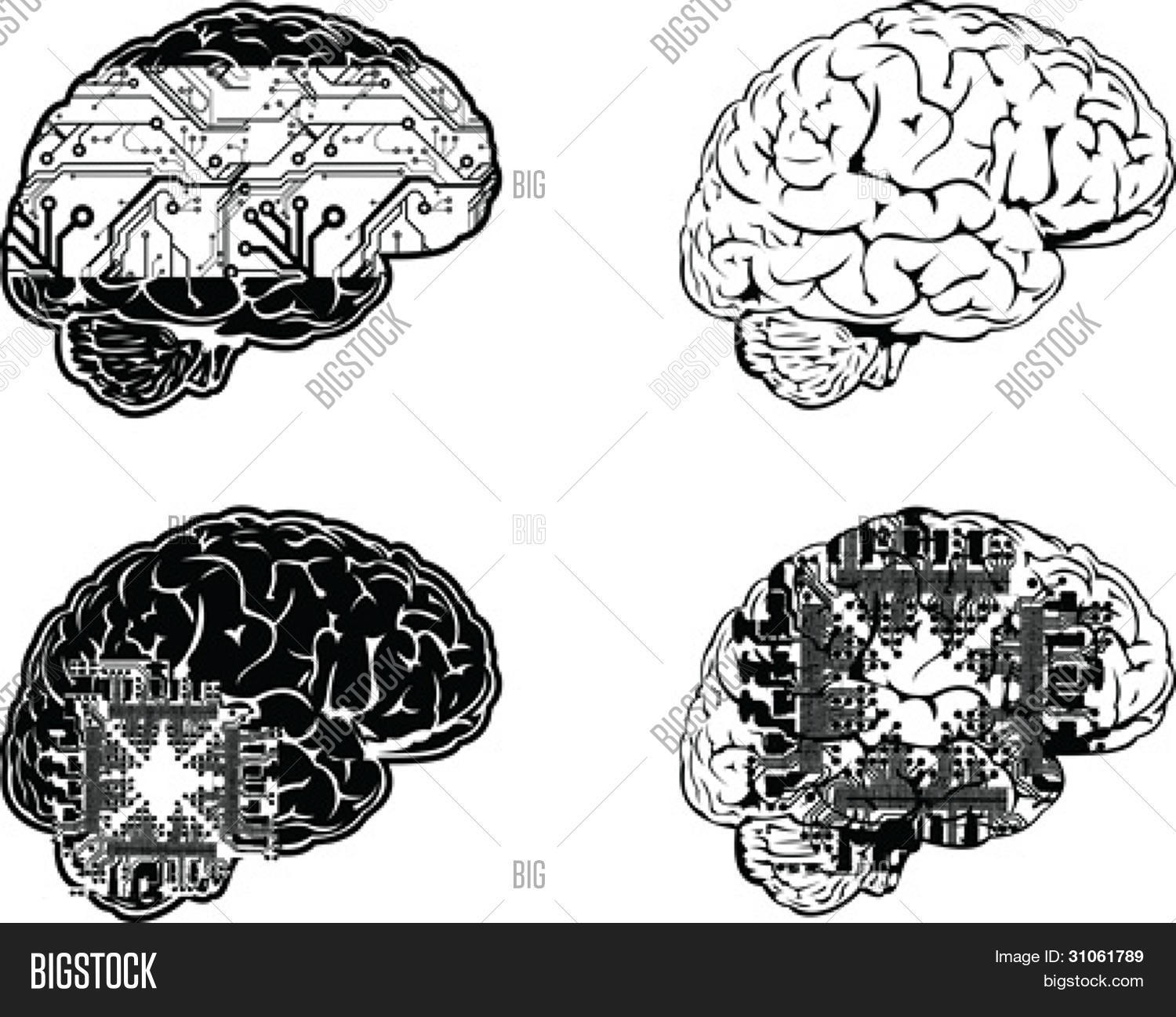 One Fourth Brain Drawing Set Four One Color Vector & Photo (Free Trial) | Bigstock
