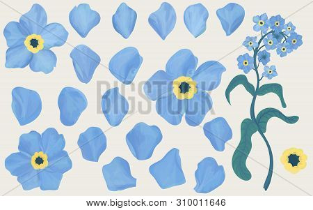 Hand Drawn Forget-me-not Flowers. Expanded On The Petals.