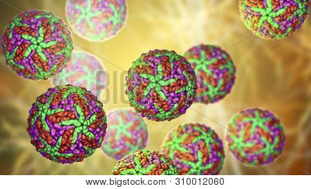 Zika Viruses, The Causative Agent Of Zika Fever, Transmitted By Mosquito Bite And Causes Microcephal