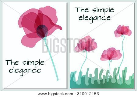 The Pink Poppy Flowers For Design Are Postcard. Petals Flower With Multiply.
