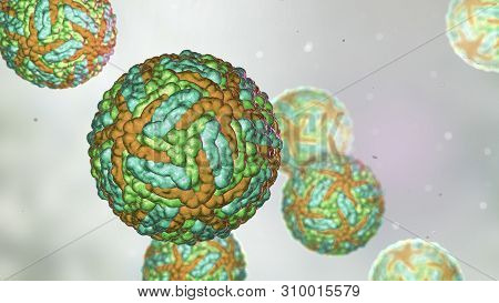 Zika Viruses, The Causative Agent Of Zika Fever, Transmitted By Mosquito Bite And Causes Microcephal