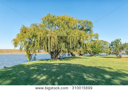 Camping Sites Next To The Dam At Vrede In The Free State Province