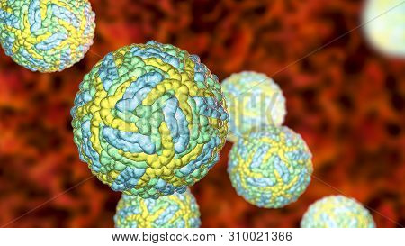 Zika Viruses, The Causative Agent Of Zika Fever, Transmitted By Mosquito Bite And Causes Microcephal