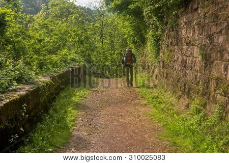 Hike Along The Long-distance Hiking Trail Neckarsteig In Germany