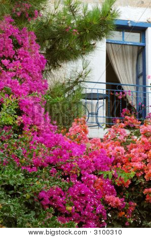 Vivere nel colore