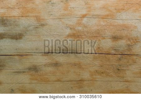 Texture Of A Natural Tree With An Unusual Structure