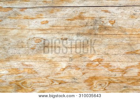 Texture Of A Natural Tree With An Unusual Structure