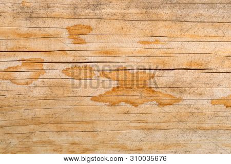 Texture Of A Natural Tree With An Unusual Structure