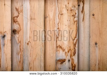 Texture Of A Natural Tree With An Unusual Structure