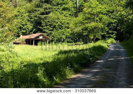 Hike Along The Long-distance Hiking Trail Neckarsteig In Germany