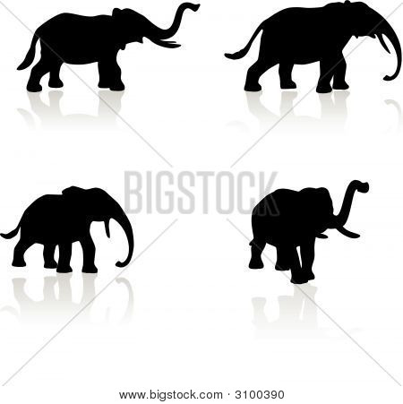 Elefante Silhouette Vector Set