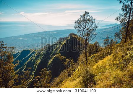 View Of Abang Mountain With Trees And Forest In Bali
