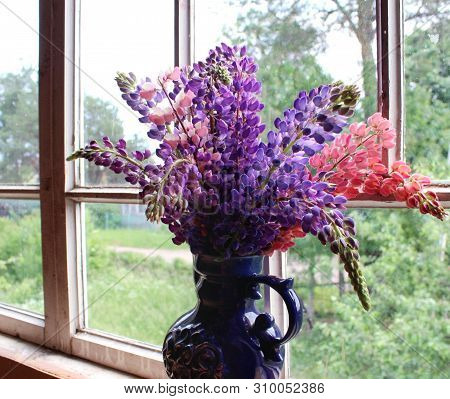 Lupins in a blue vase against the window in the evening