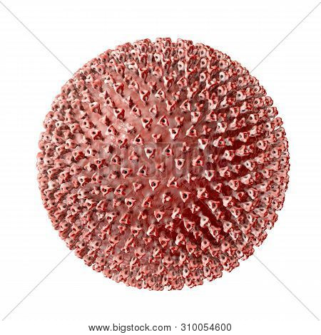 Measles Virus. 3d Illustration Showing Structure Of Measles Virus With Surface Glycoprotein Spikes H