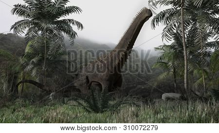 3d rendering of the large alamosaurus walking in the jungle on the edge of the hill