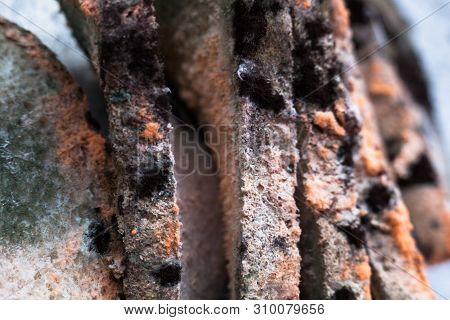 Mouldy (moldy) Bread. Bread With Mold (must, Mustiness, Mildew). Close-up.