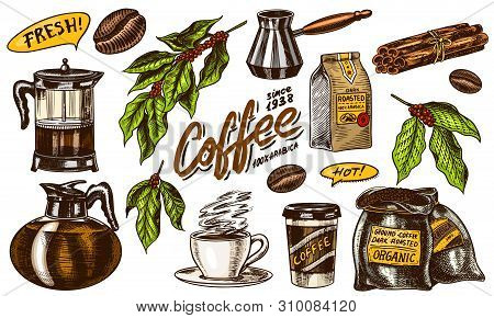 Coffee In Vintage Style. A Bag Of Grain, Cocoa Leaves, Cinnamon Sticks, A Cup And A Teapot, A Coffee