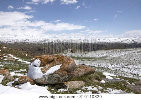 Horses Grazing On A Snowy Pasture. On The Horizon, Snow-capped Mountains. The Sky In The Clouds. Tra