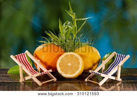 Orange And Lemon On The Background Of Greenery, Next To Two Small Lounge Chairs, The Concept Of Vaca