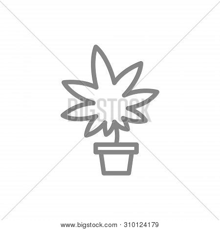 Medical Marijuana Cultivation, Cannabis Leaf With Pot Line Icon.