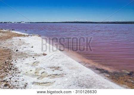 Laguna Salada In Torrevieja, Spain. Pink Salted Lake. Salinas Natural Park.