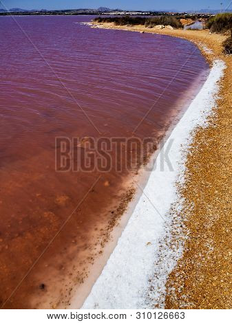 Laguna Salada In Torrevieja, Spain. Pink Salted Lake. Salinas Natural Park.