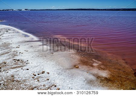 Laguna Salada In Torrevieja, Spain. Pink Salted Lake. Salinas Natural Park.