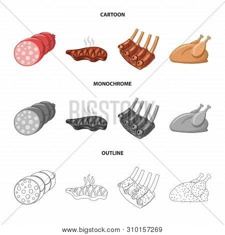 Isolated Object Of Meat And Ham Symbol. Set Of Meat And Cooking Vector Icon For Stock.