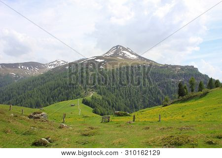 Green Meadow With Yellow Flowers And Muttener Horn, Mountain In Switzerland.