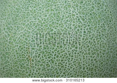 Close Up Skin Of Cantaloupe Melon For The Background And Texture