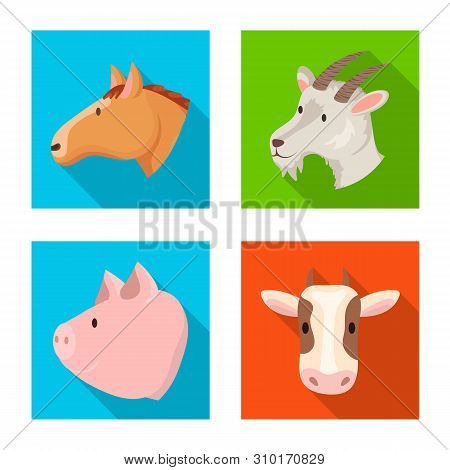 Vector Design Of Agriculture And Breeding Icon. Collection Of Agriculture And Organic Vector Icon Fo