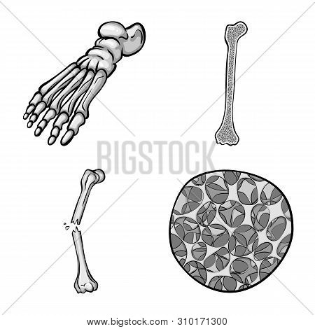 Vector Design Of Biology And Medical Icon. Set Of Biology And Skeleton Vector Icon For Stock.