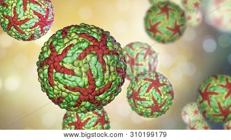 Zika Viruses, The Causative Agent Of Zika Fever, Transmitted By Mosquito Bite And Causes Microcephal
