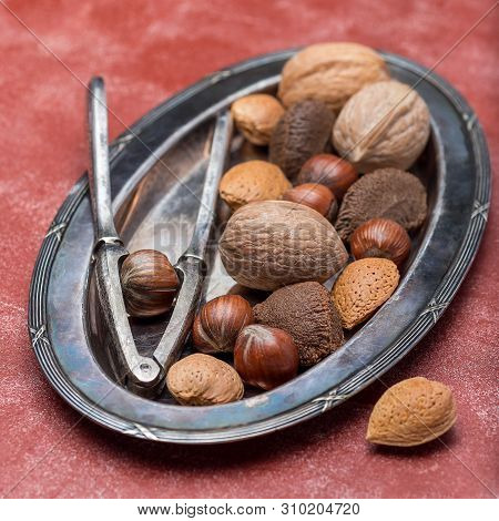 Different Kinds Of Nuts In Shell, Hazelnut, Walnut, Almond And Brazil Nuts On The Plate With Nut Cra