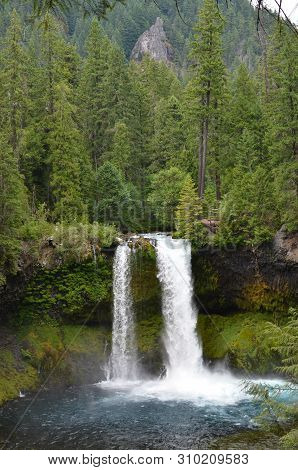 Portrait Photo Of Koosah Falls On The Mckenzie River In Central Oregon