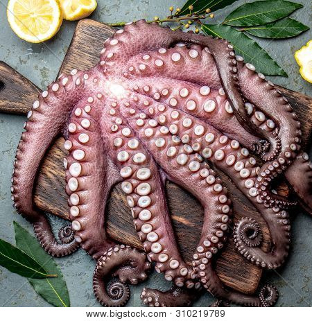 Whole Fresh Raw Octopus On Cutting Board Closeup On Gray Slate Background