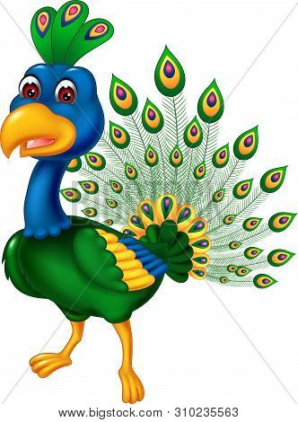 Funny Green Peacock Cartoon For Your Design