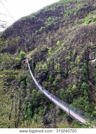Tibetan Bridge Carasc Or Ponte Tibetano Valle Di Sementina Or Tibetische Brucke Carasc, Monte Carass